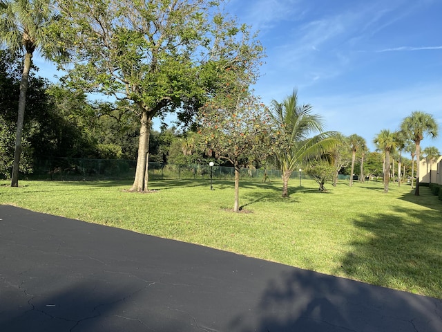 2975 SW 22nd Ave Unit 2010, Delray Beach, FL 33445 - view of yard