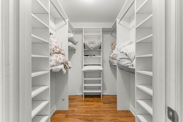 45 Stratford Ln Unit B, Boynton Beach, FL 33436 - walk in closet featuring wood finished floors
