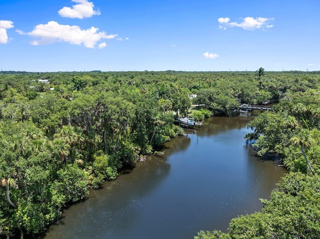 1400 Parkland Blvd, Fort Pierce, FL 34982 - drone / aerial view of a heavily wooded area and a nearby body of water