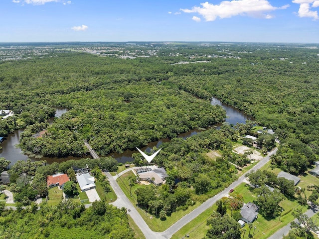 1400 Parkland Blvd, Fort Pierce, FL 34982 - aerial view of property's location with a nearby body of water and a forest