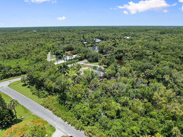 1400 Parkland Blvd, Fort Pierce, FL 34982 - drone / aerial view of a forest
