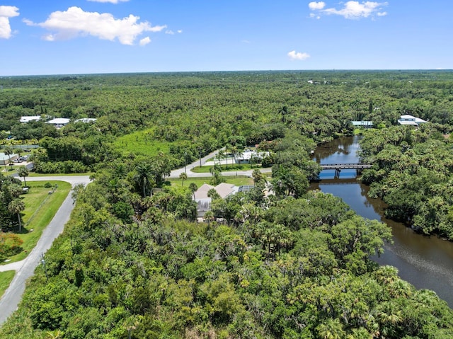 1400 Parkland Blvd, Fort Pierce, FL 34982 - aerial view of a forest and a large body of water