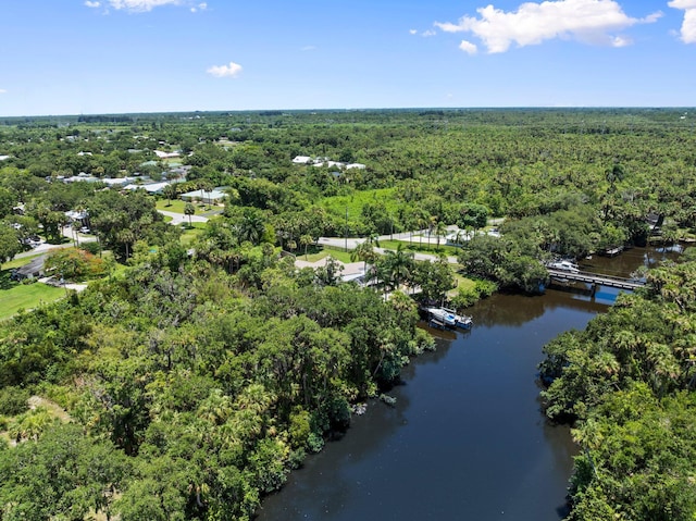 1400 Parkland Blvd, Fort Pierce, FL 34982 - aerial view of a heavily wooded area and a nearby body of water