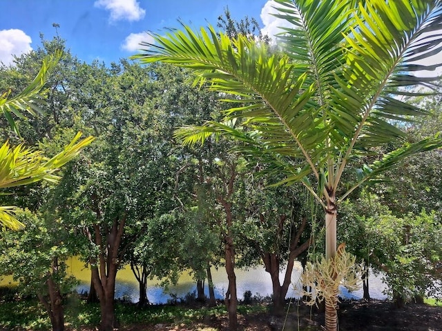 3172 N Greenleaf Cir, Boynton Beach, FL 33426 - water view