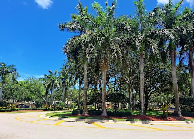 3172 N Greenleaf Cir, Boynton Beach, FL 33426 - view of asphalt street with curbs