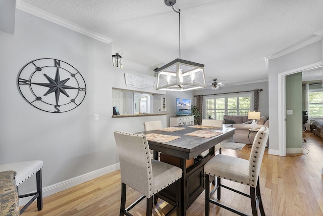 2218 Tuscany Way, Boynton Beach, FL 33435 - dining room featuring light wood finished floors, ornamental molding, a textured ceiling, and a ceiling fan