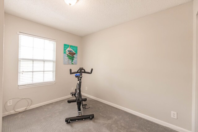 5900 S Golden Beauty Ln Unit 5900, Tamarac, FL 33321 - exercise room with healthy amount of natural light, carpet, and a textured ceiling