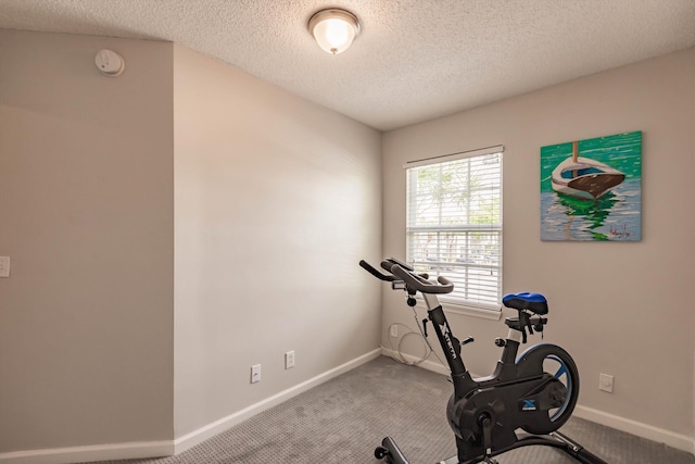 5900 S Golden Beauty Ln Unit 5900, Tamarac, FL 33321 - workout area with a textured ceiling and carpet floors