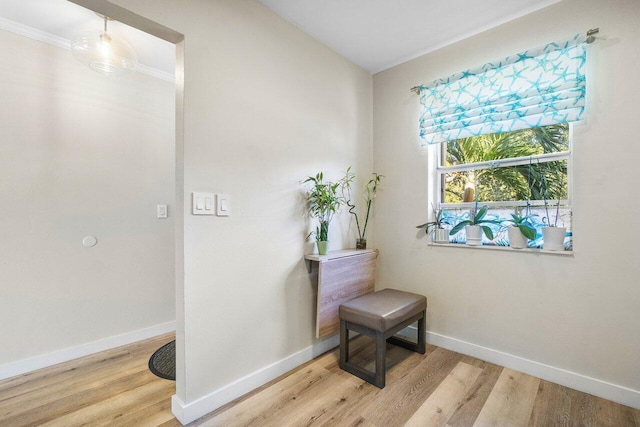 148 Lake Constance Dr Unit 148, West Palm Beach, FL 33411 - hall with light wood-style flooring