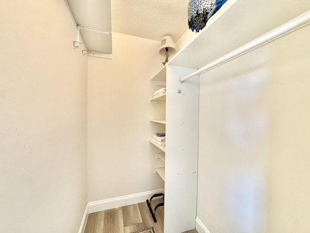 312 Knotty Pine Cir Unit C-1, Greenacres, FL 33463 - spacious closet featuring wood finished floors