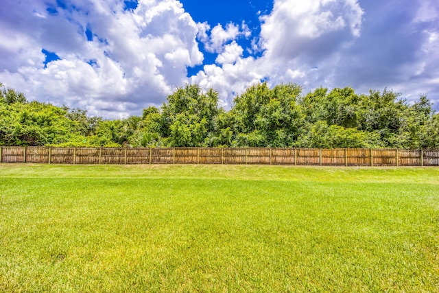 2571 SW Berry Park Cir, Palm City, FL 34990 - view of yard