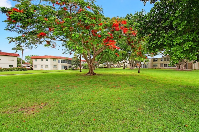 16 Willowbrook Ln Unit 102, Delray Beach, FL 33446 - view of grassy yard