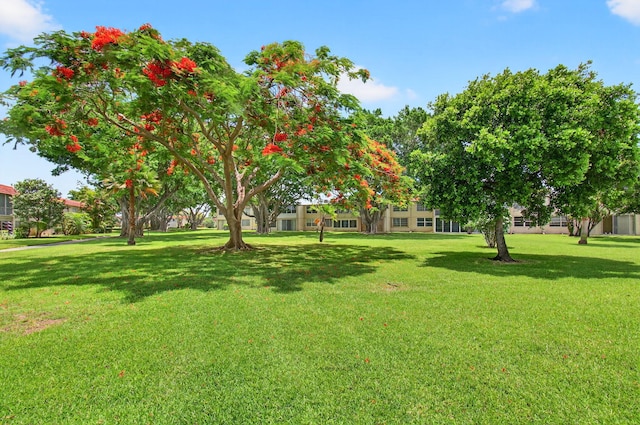 16 Willowbrook Ln Unit 102, Delray Beach, FL 33446 - view of green lawn