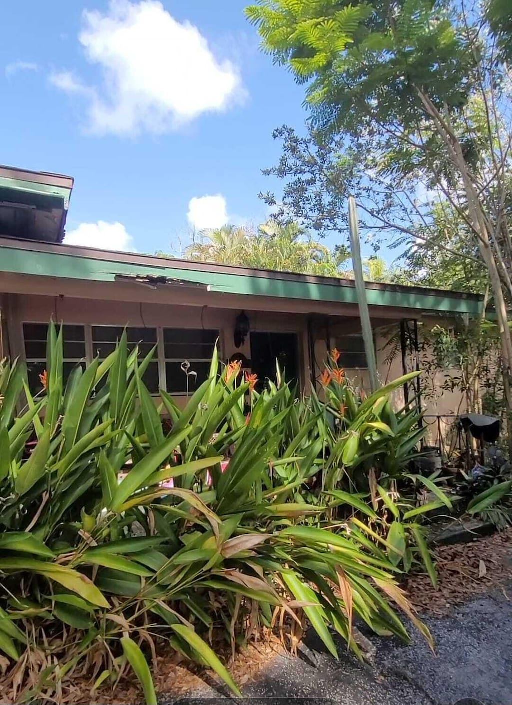 812 Garden Ct, Plantation, FL 33317 - view of home's exterior