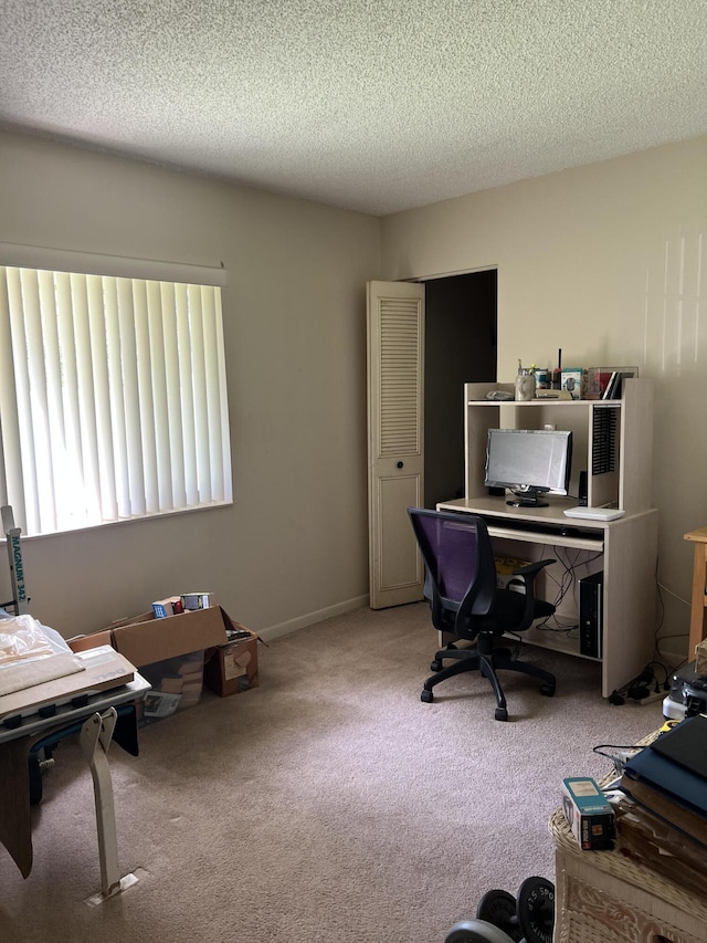 3623 La Playas Ct Unit A-1, Greenacres, FL 33463 - office featuring carpet floors, plenty of natural light, and a textured ceiling