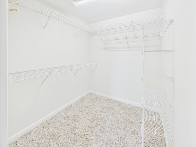810 SE 13th St, Okeechobee, FL 34974 - spacious closet with carpet floors