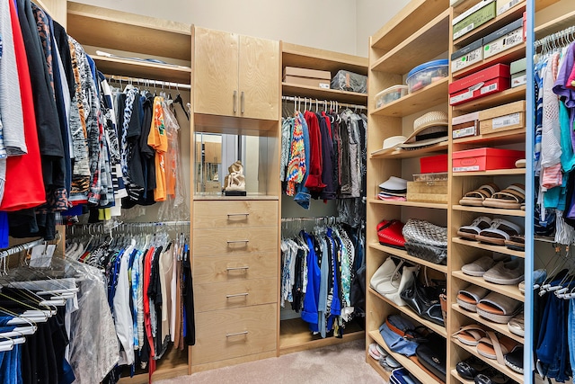 8271 Green Mountain Rd, Boynton Beach, FL 33473 - walk in closet featuring carpet