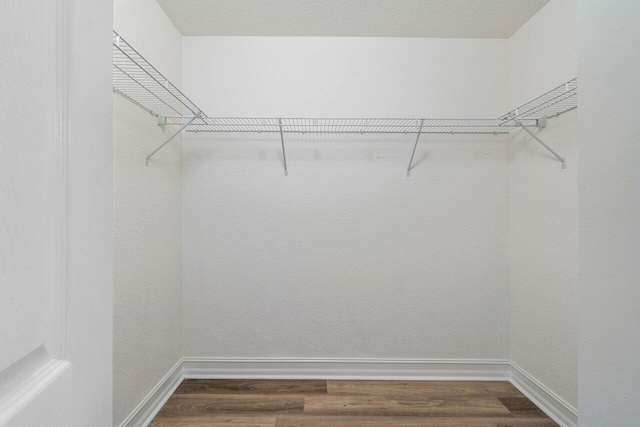 8183 Emerald Winds Cir, Boynton Beach, FL 33473 - walk in closet featuring dark wood-style flooring