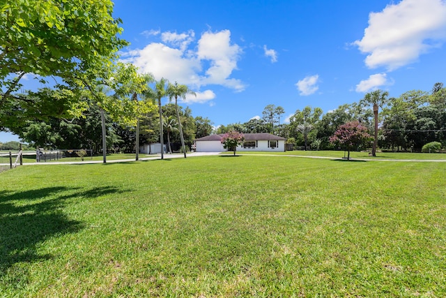 16888 W Stallion Dr, Loxahatchee, FL 33470 - view of grassy yard featuring view of scattered trees