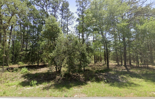 TBD NW Ridgewood Rd, Dunnellon, FL 34431