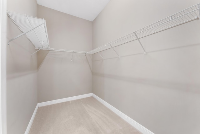 2854 Bellarosa Cir, Royal Palm Beach, FL 33411 - spacious closet with carpet flooring