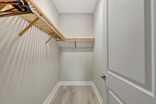 4610 SW Ardsley Dr, Stuart, FL 34997 - walk in closet with light wood-style flooring