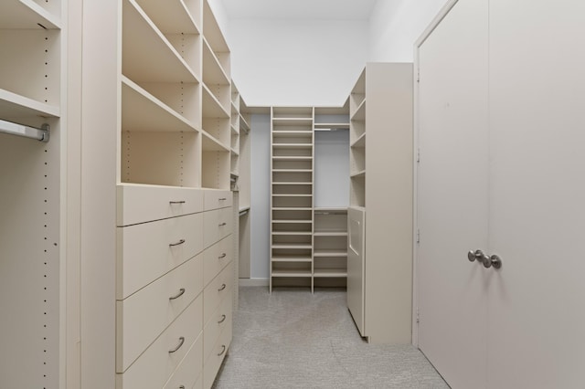 16284 Via Venetia W, Delray Beach, FL 33484 - walk in closet with light carpet