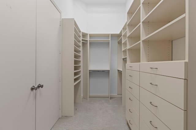 16284 Via Venetia W, Delray Beach, FL 33484 - spacious closet featuring light colored carpet