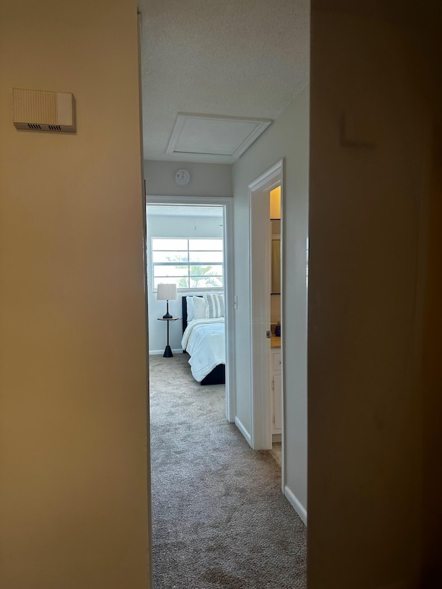 148 Yacht Club Dr Unit 13, North Palm Beach, FL 33408 - corridor with carpet floors and baseboards