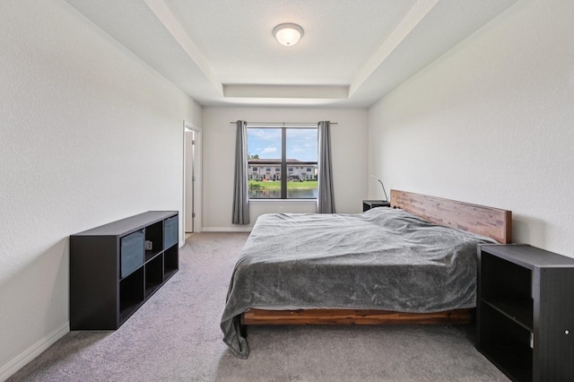 2808 Troubadour St, Palm Springs, FL 33406 - bedroom with a raised ceiling and carpet