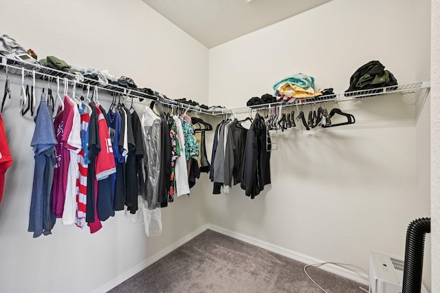 2808 Troubadour St, Palm Springs, FL 33406 - walk in closet featuring carpet