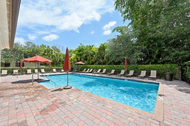 2808 Troubadour St, Palm Springs, FL 33406 - community pool featuring a patio area and view of wooded area