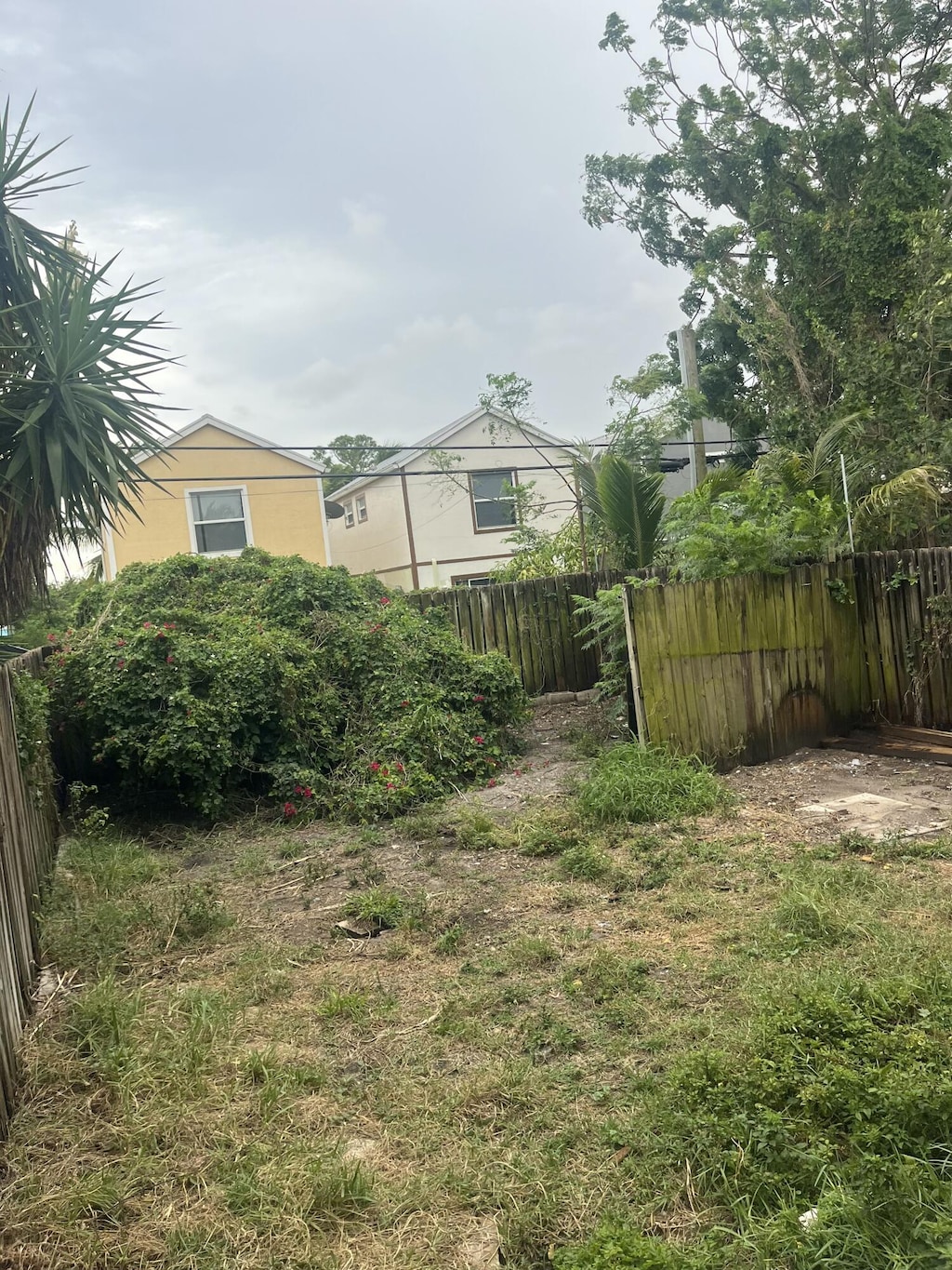 4328 Cambridge St, Lake Worth, FL 33461 - view of yard