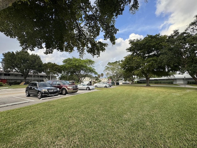 687 Durham Y, Deerfield Beach, FL 33442 - view of green lawn