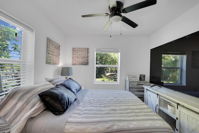 2626 Garfield St, Hollywood, FL 33020 - bedroom featuring multiple windows and ceiling fan