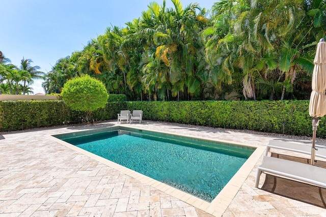 8199 Lost Creek Ln, Delray Beach, FL 33446 - view of pool with a patio and a fenced backyard