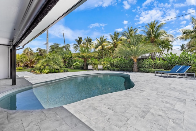 910 SW 21st St, Boca Raton, FL 33486 - outdoor pool with a patio area