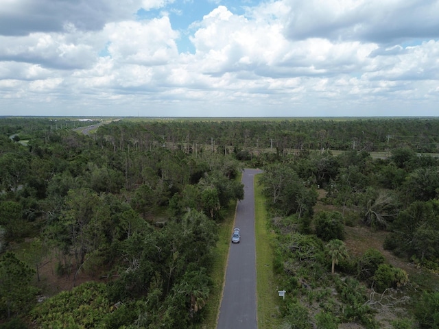 14492 Rowan Ave, Port Charlotte, FL 33953