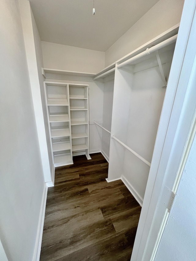 5163 Marion Pl, West Palm Beach, FL 33407 - spacious closet with dark wood finished floors