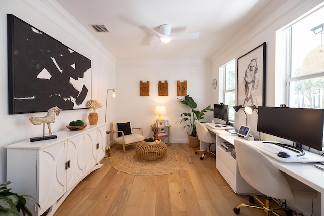 3245 Wymberly Dr, Jupiter, FL 33458 - office with light wood-type flooring, healthy amount of natural light, ceiling fan, and crown molding