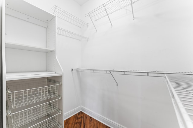 918 SW Blue Stem Way, Stuart, FL 34997 - spacious closet with wood finished floors
