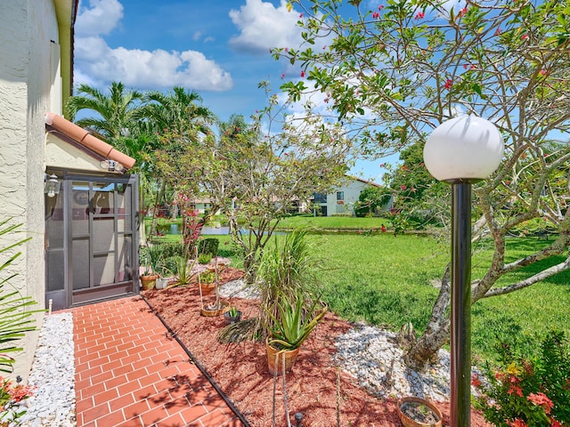 10828 Lake Palm Ln Unit 202, Boynton Beach, FL 33437 - view of green lawn