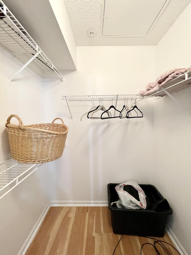 7832 Sonoma Springs Cir Unit 203, Lake Worth, FL 33463 - spacious closet with light wood-type flooring