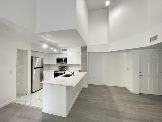 7832 Sonoma Springs Cir Unit 203, Lake Worth, FL 33463 - kitchen featuring appliances with stainless steel finishes, a peninsula, light countertops, track lighting, and a high ceiling