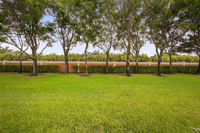 8873 Via Brilliante, Wellington, FL 33411 - view of yard