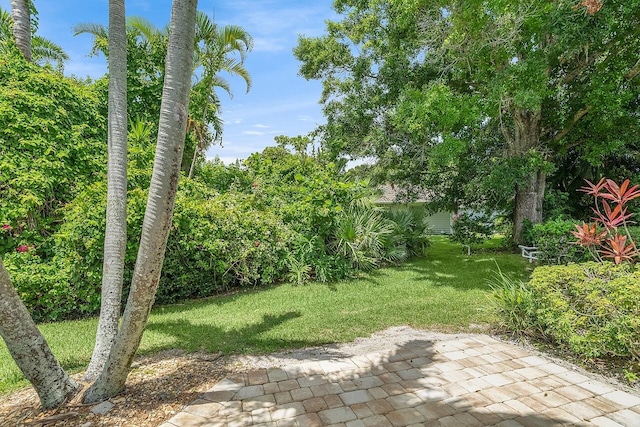 420 Hawthorne Ln, Vero Beach, FL 32962 - view of green lawn with a patio area