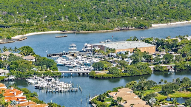3733 Cape Pointe Cir, Jupiter, FL 33477 - aerial view of a nearby body of water