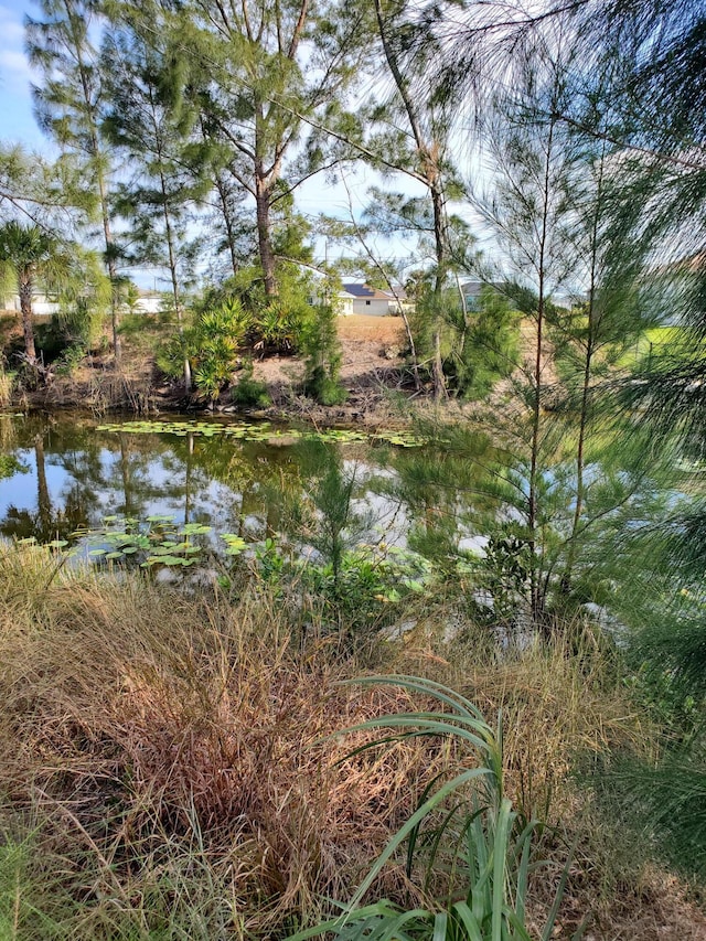 3905 NE 9th Ave, Cape Coral, FL 33909