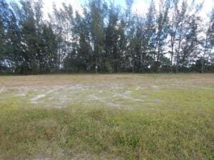 3905 NE 9th Ave, Cape Coral, FL 33909