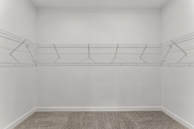 9555 SW Indra Way, Port Saint Lucie, FL 34987 - spacious closet with carpet flooring